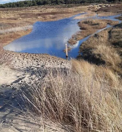 Zilvermeeuw בית נופש
