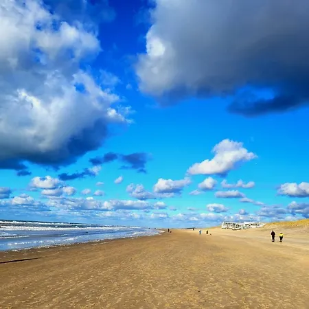 Zilvermeeuw בית נופש