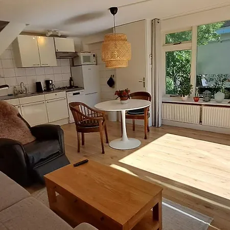 Zilvermeeuw ברחן אן זיי