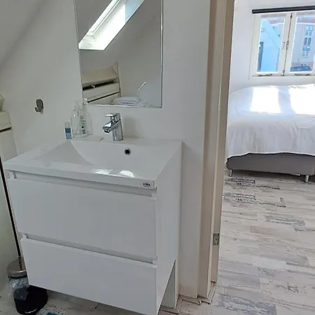 Zilvermeeuw בית נופש